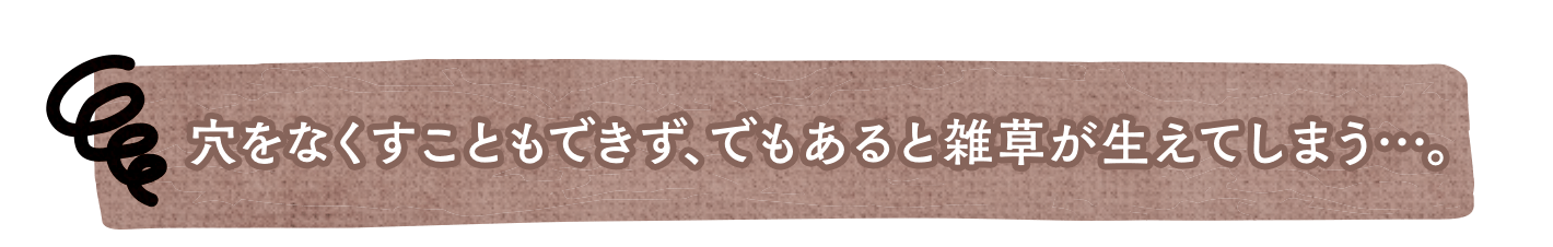 穴をなくすこともできず、でもあると雑草が生えてしまう…。