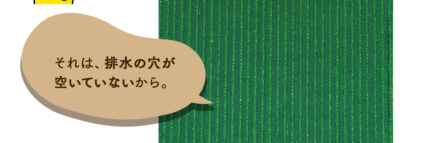 それは、排水の穴が空いていないから。