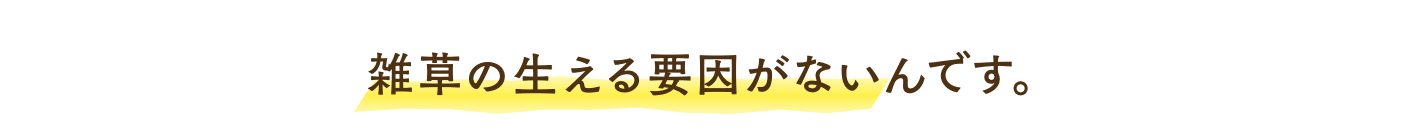 雑草の生える要因がないんです。