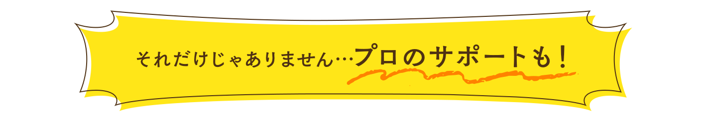 それだけじゃありません…プロのサポートも！