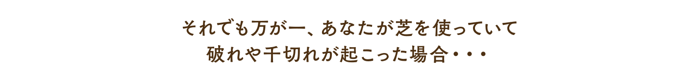 それでも万が一、あなたが芝を使っていて 破れや千切れが起こった場合