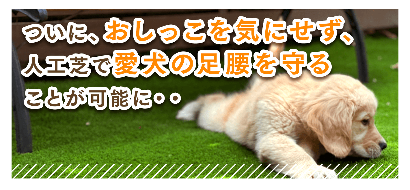 ついに、おしっこを気にせず、人工芝で愛犬の足腰を守ることが可能に・・