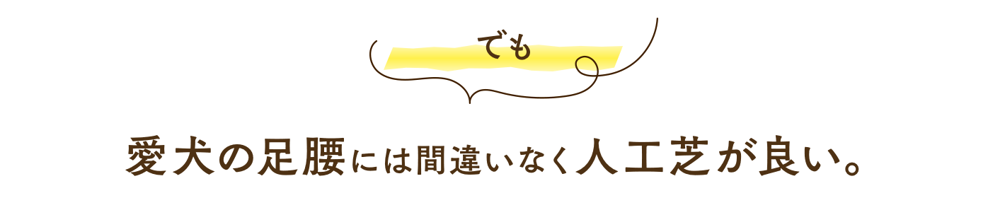 でも、愛犬の足腰には間違いなく人工芝が良い。