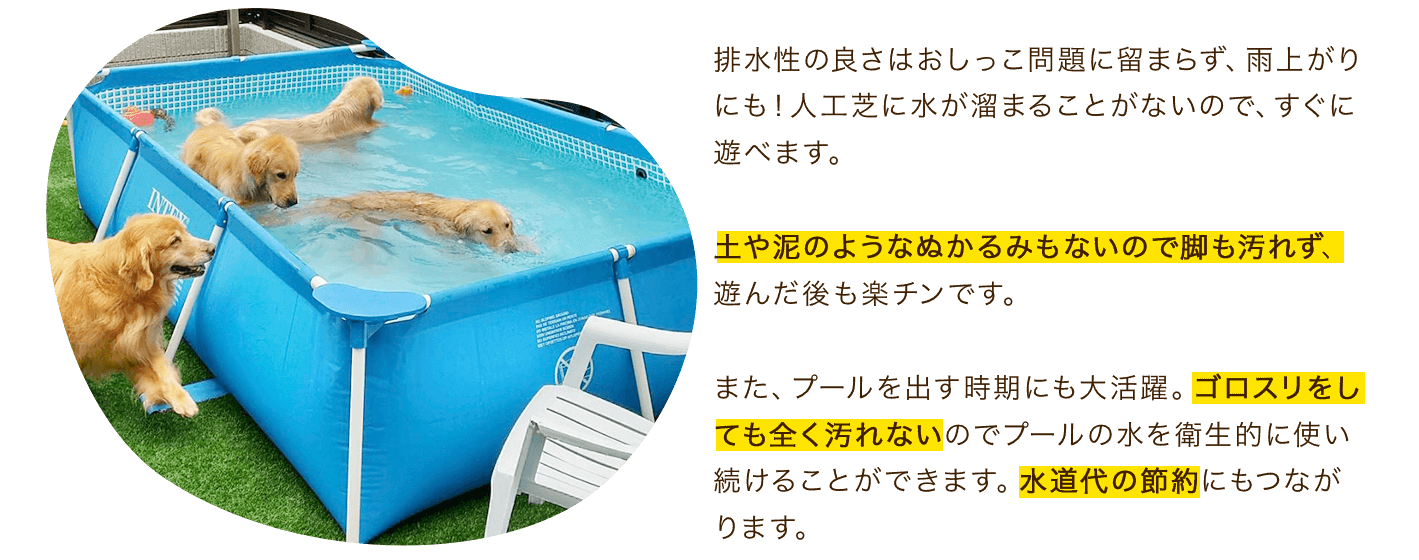 排水性の良さはおしっこ問題に留まらず、雨上がりにも！人工芝に水が溜まることがないので、すぐに遊べます。