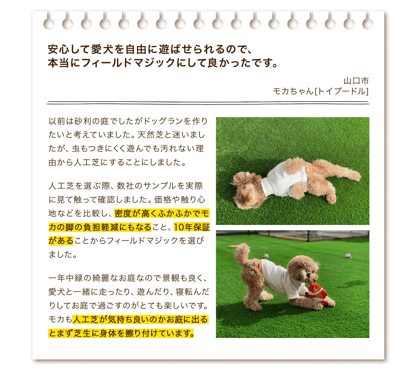 安心して愛犬を自由に遊ばせられるので、本当にフィールドマジックにして良かったです。