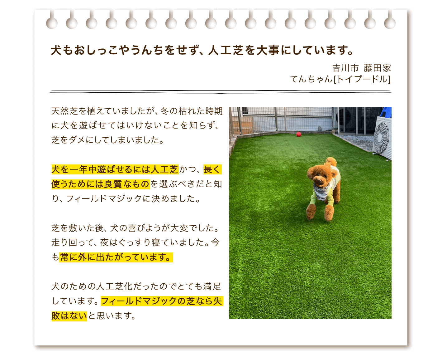 犬もおしっこやうんちをせず、人工芝を大事にしています。