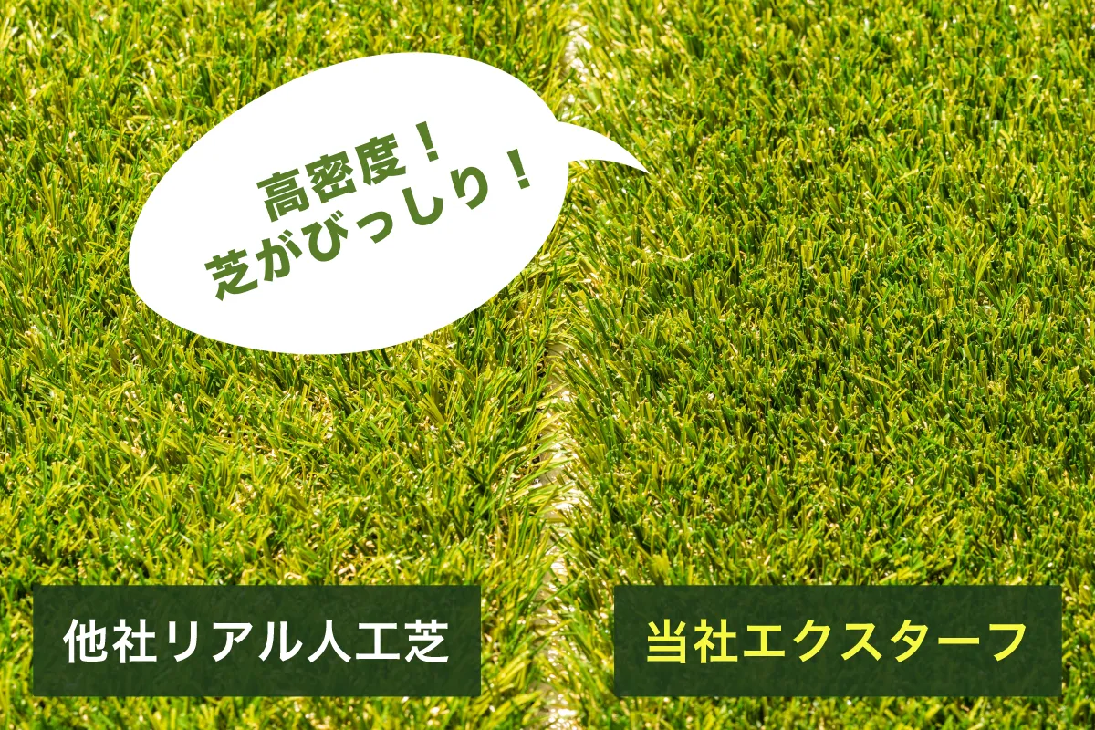 エクスターフ