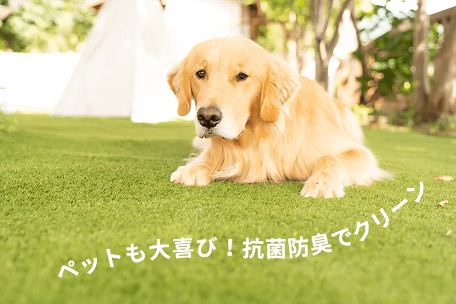エクスターフ
