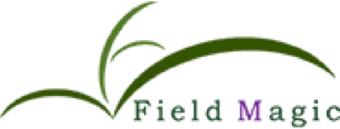 field magic